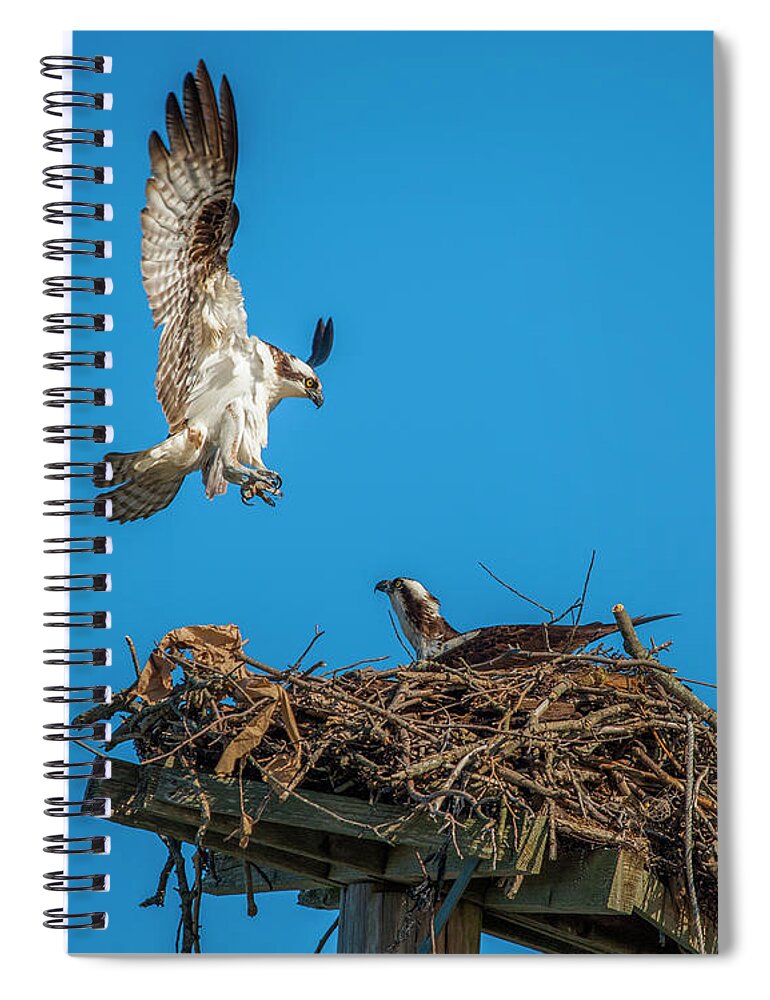 Raptor Spiral Notebook featuring the photograph Incoming by Cathy Kovarik