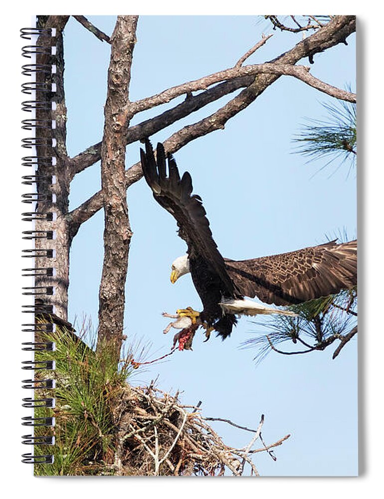 Eagles Spiral Notebook featuring the photograph Incoming Food #2 by Deborah Benoit