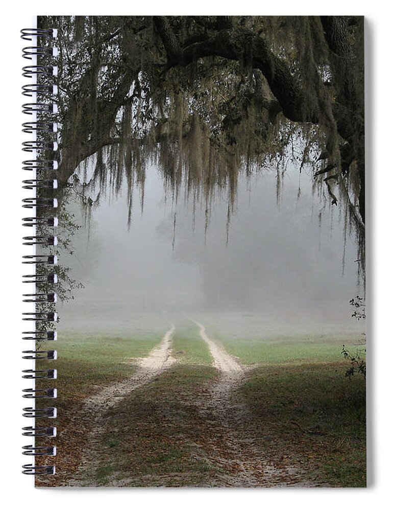 Nature Spiral Notebook featuring the photograph Into the Light #1 by Peggy Urban
