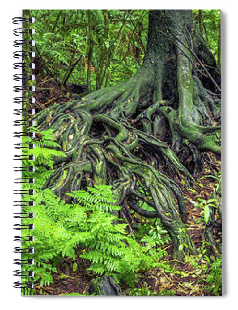 Rain Forest Spiral Notebook featuring the photograph Jungle roots #1 by Les Cunliffe