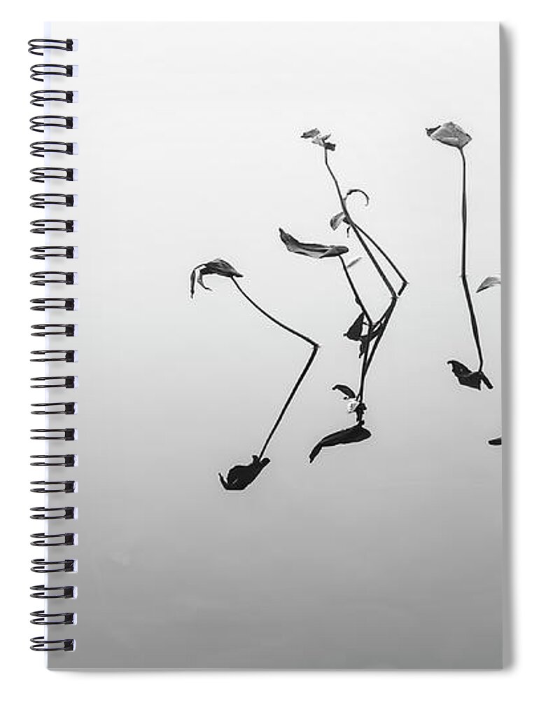 Black And White Spiral Notebook featuring the photograph Lets Dance Again by Jean-Pierre Ducondi