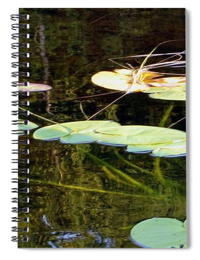 Lily Pads Spiral Notebook featuring the photograph Lily Pads on the Lake by Mary Wolf