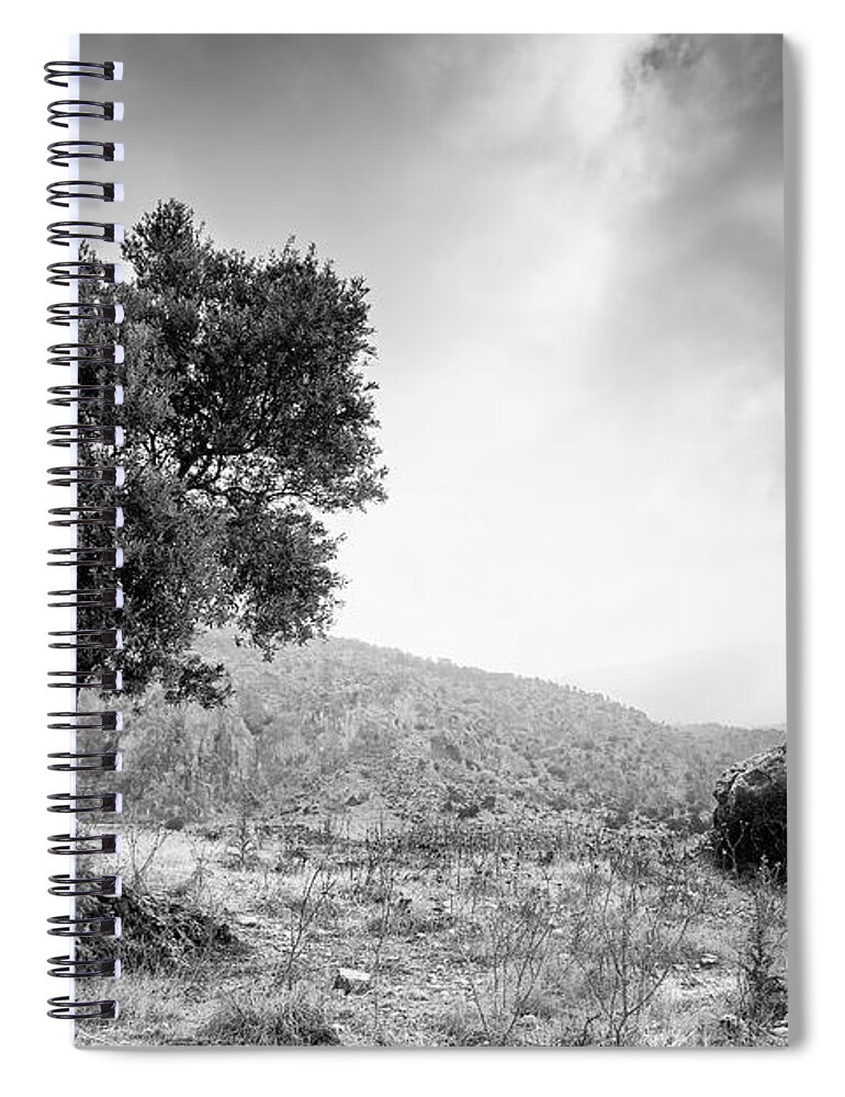 Single Tree Spiral Notebook featuring the photograph Lonely olive tree and stormy cloudy sky #1 by Michalakis Ppalis