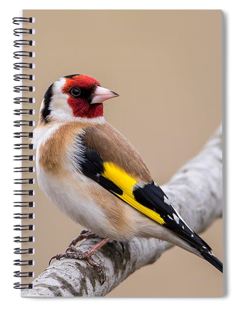Looking Behind Spiral Notebook featuring the photograph Looking behind2 by Torbjorn Swenelius
