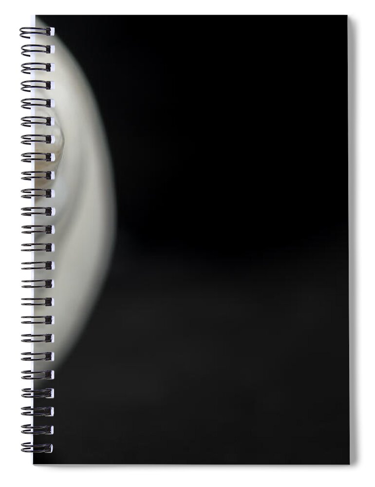 White Seashell Spiral Notebook featuring the photograph Macro closeup of a Seashell #2 by John Williams
