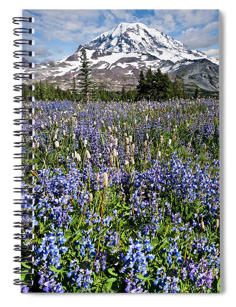 Alpine Spiral Notebook featuring the photograph Meadow of Lupine Near Mount Rainier by Jeff Goulden