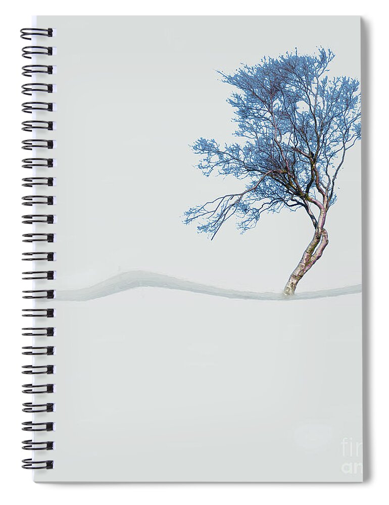 Mindfulness Spiral Notebook featuring the photograph Mindfulness Tree #2 by LemonArt Photography