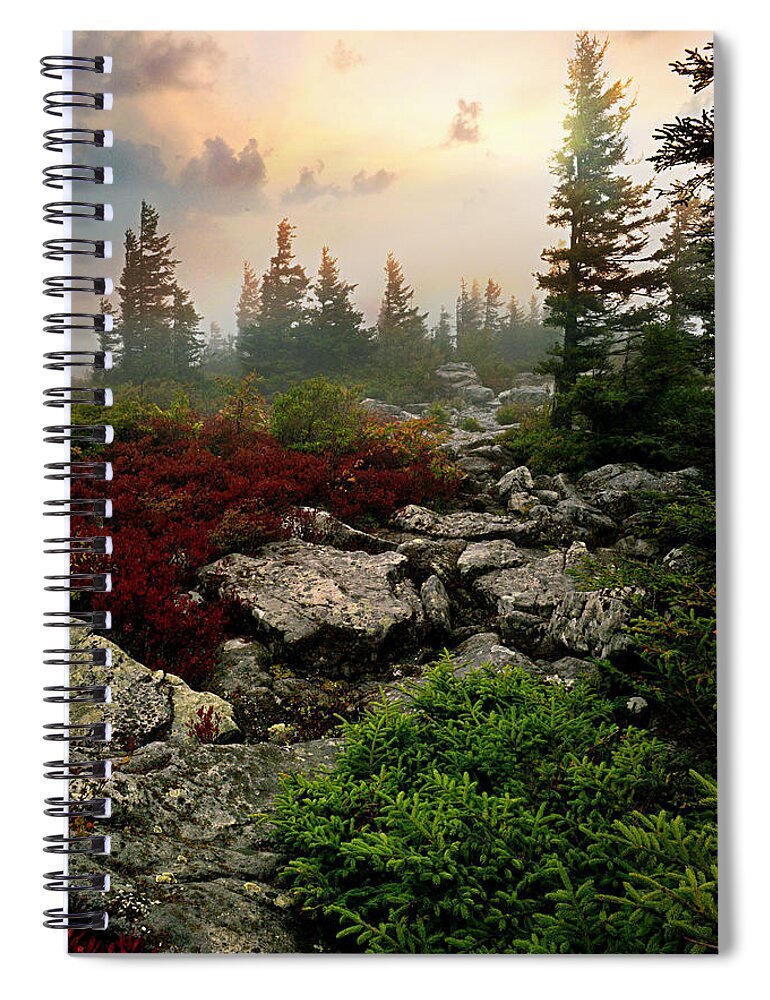 Sunshine Spiral Notebook featuring the photograph Misty Morning #3 by Lisa Lambert-Shank