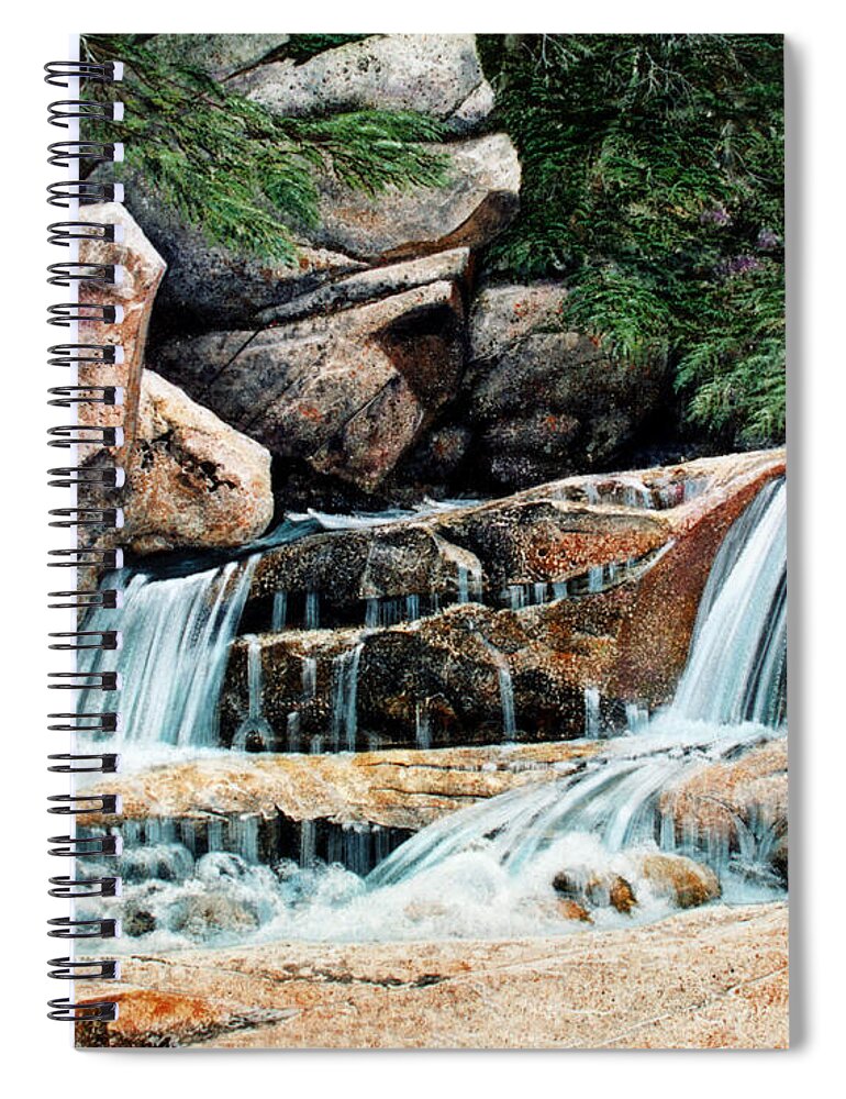 Mountain Stream Spiral Notebook featuring the painting Mountain Stream by Frank Wilson