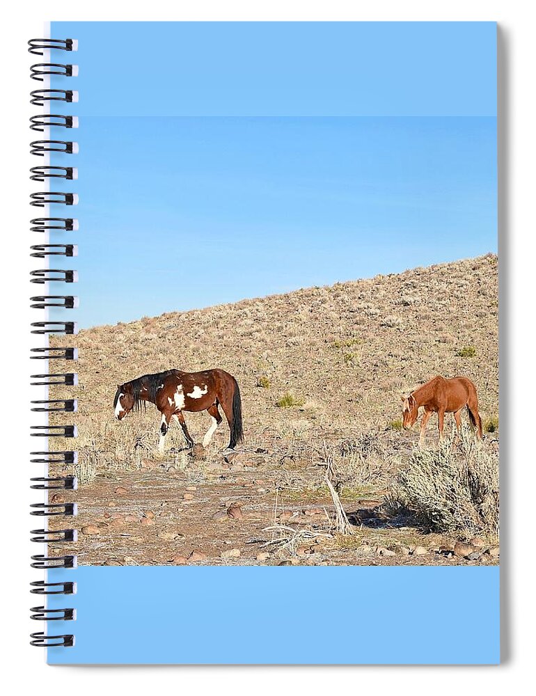 Virginia Range Mustangs Spiral Notebook featuring the photograph Mustangs #1 by Maria Jansson