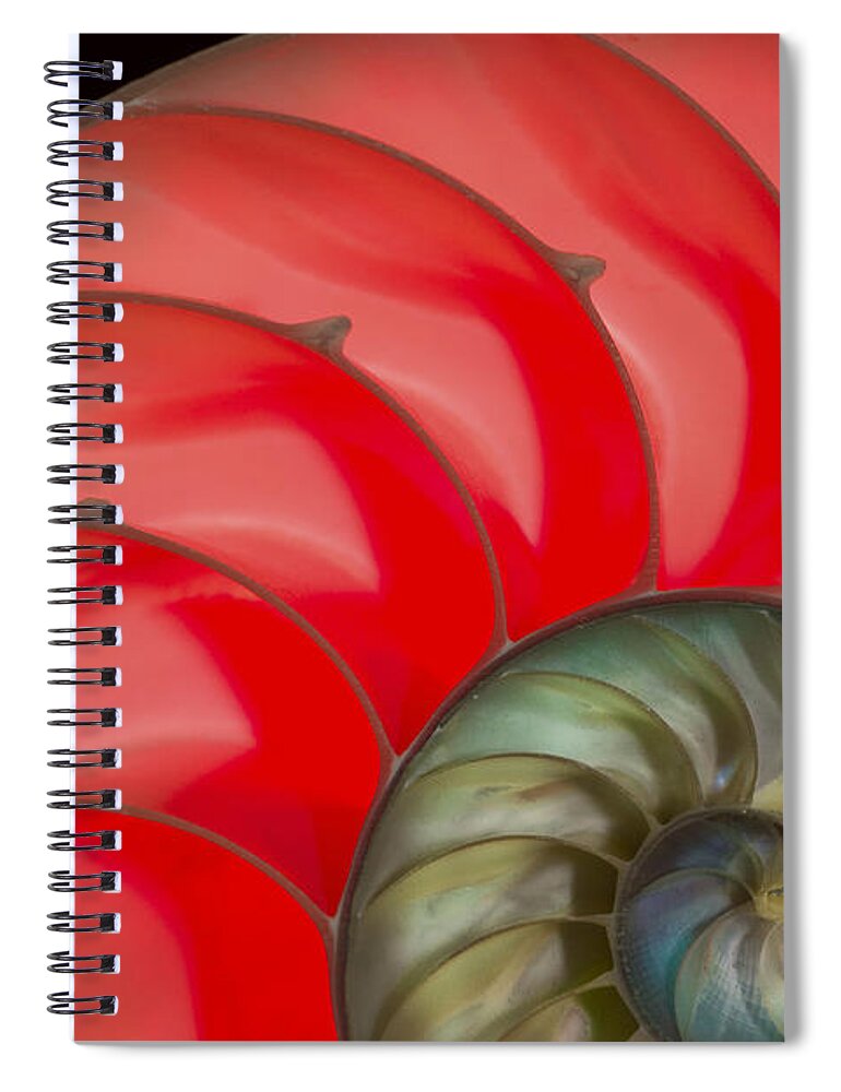 Jean Noren Spiral Notebook featuring the photograph Nautilus #2 by Jean Noren