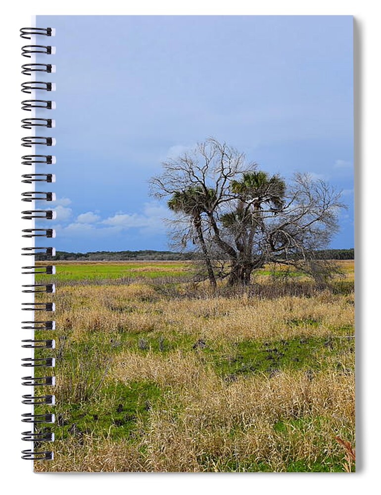 Florida Spiral Notebook featuring the photograph Open Fields #1 by Florene Welebny