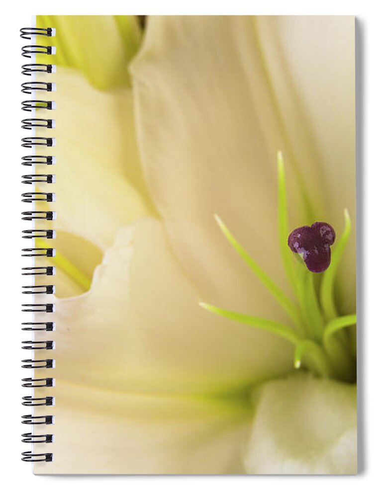 Alive Spiral Notebook featuring the photograph Oriental Lily Flower by Raul Rodriguez