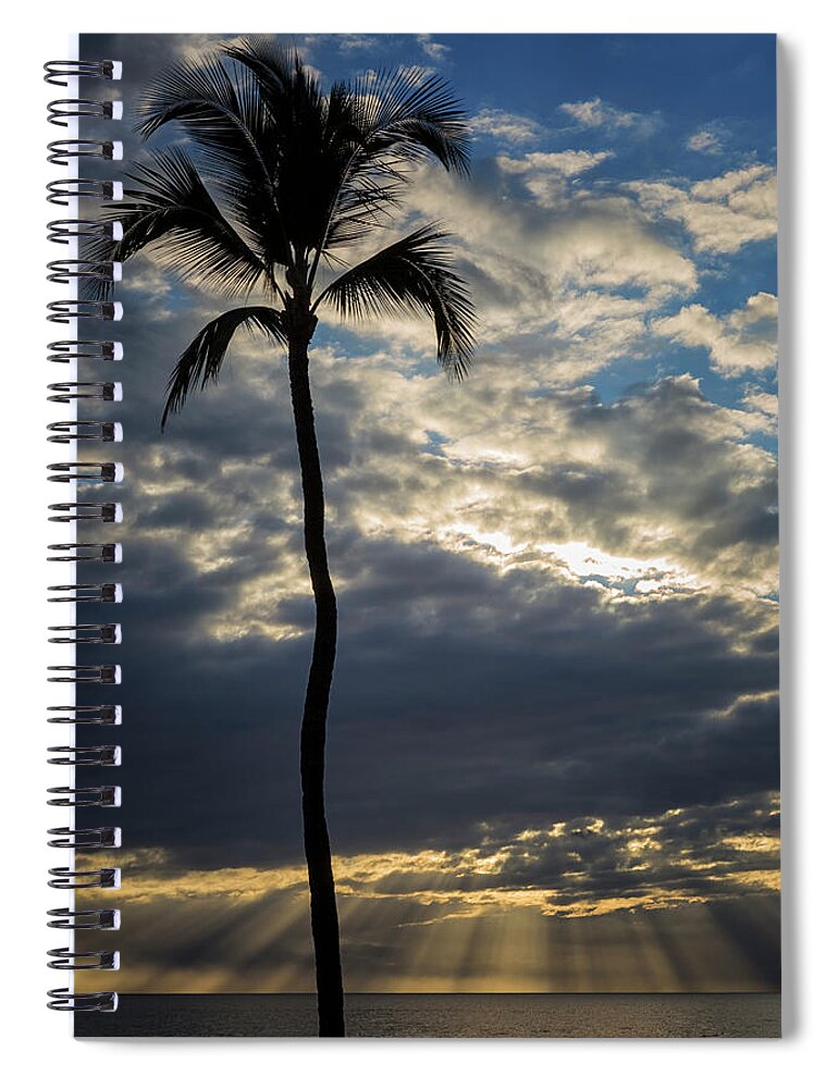 5 Palms Restaurant Spiral Notebook featuring the photograph 1 Palm At 5 Palms by Randy Hall