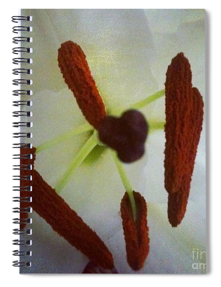 Flower Spiral Notebook featuring the photograph Peek by Denise Railey