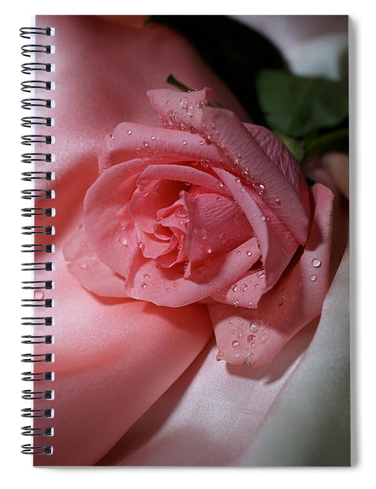 Rose Spiral Notebook featuring the photograph Pink Rose on the silk by Lilia D