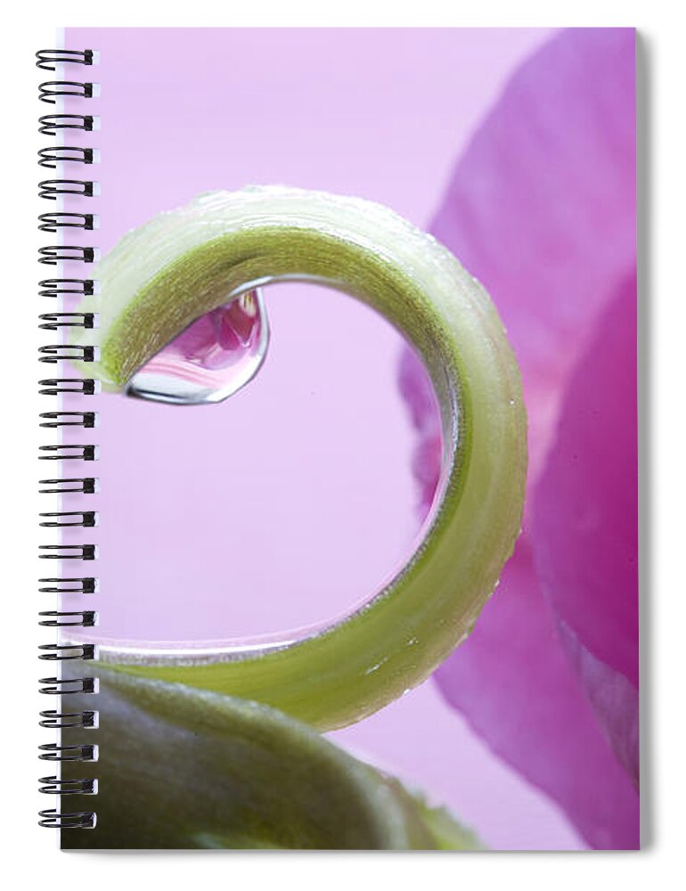 Plant Spiral Notebook featuring the photograph Pink Tulip Macro #1 by Mark Duffy