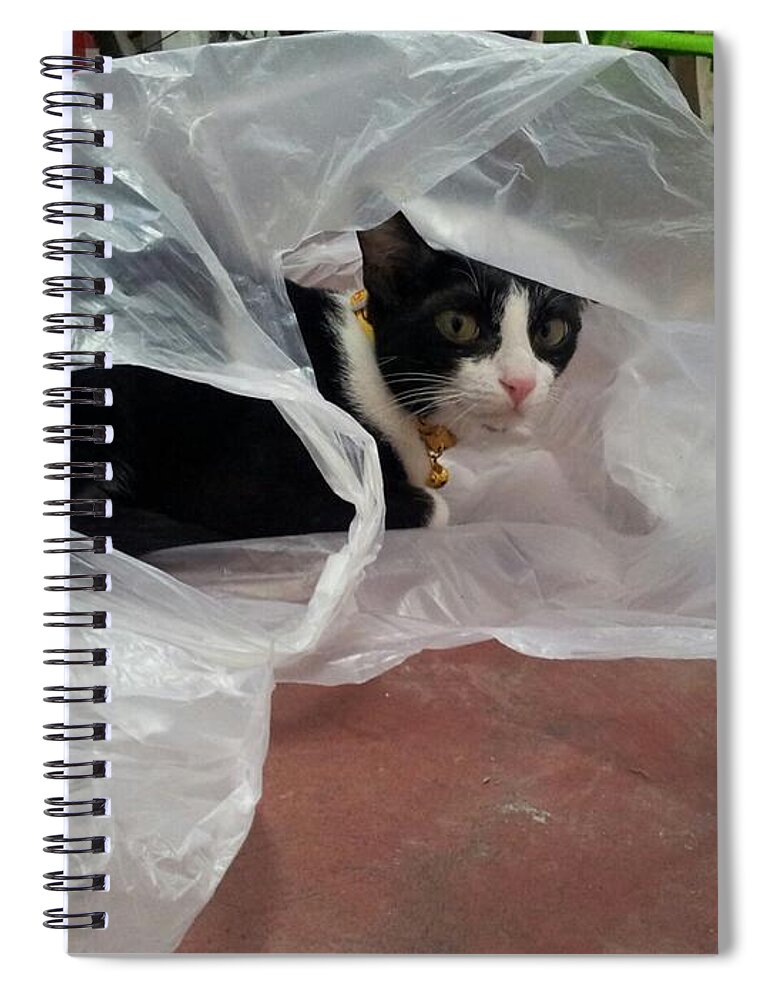 Gatchee Spiral Notebook featuring the photograph Playing of A Cat by Sukalya Chearanantana