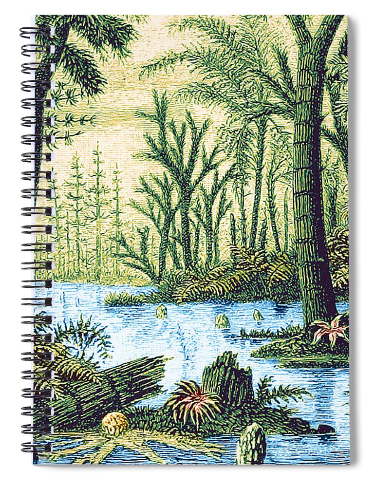 Historic Spiral Notebook featuring the photograph Prehistoric Flora, Carboniferous Period #2 by Science Source