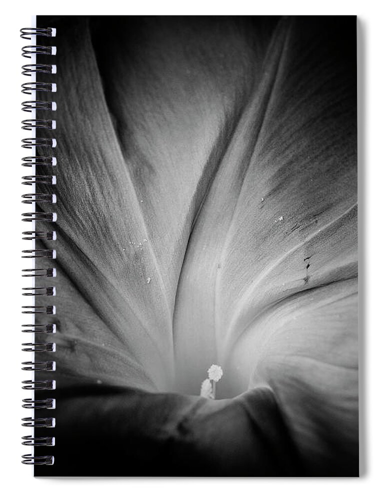 Blumwurks Spiral Notebook featuring the photograph Rise And Shine #1 by Matthew Blum