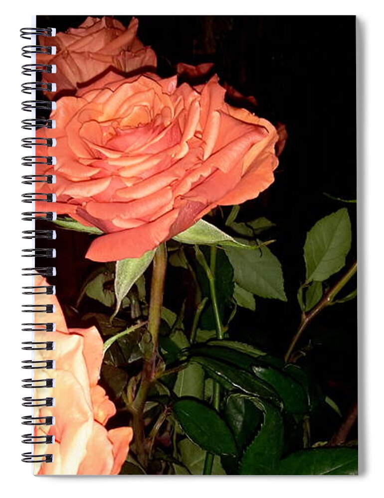 Roses Spiral Notebook featuring the photograph Roses for holiday #1 by Oksana Semenchenko