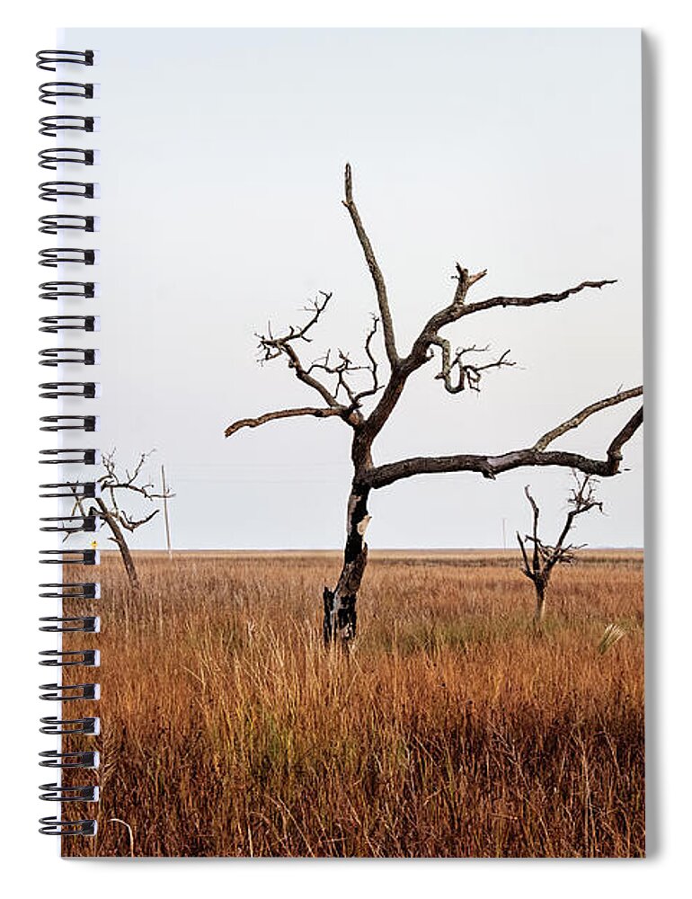 Tree Spiral Notebook featuring the photograph Silent Witness by Scott Pellegrin