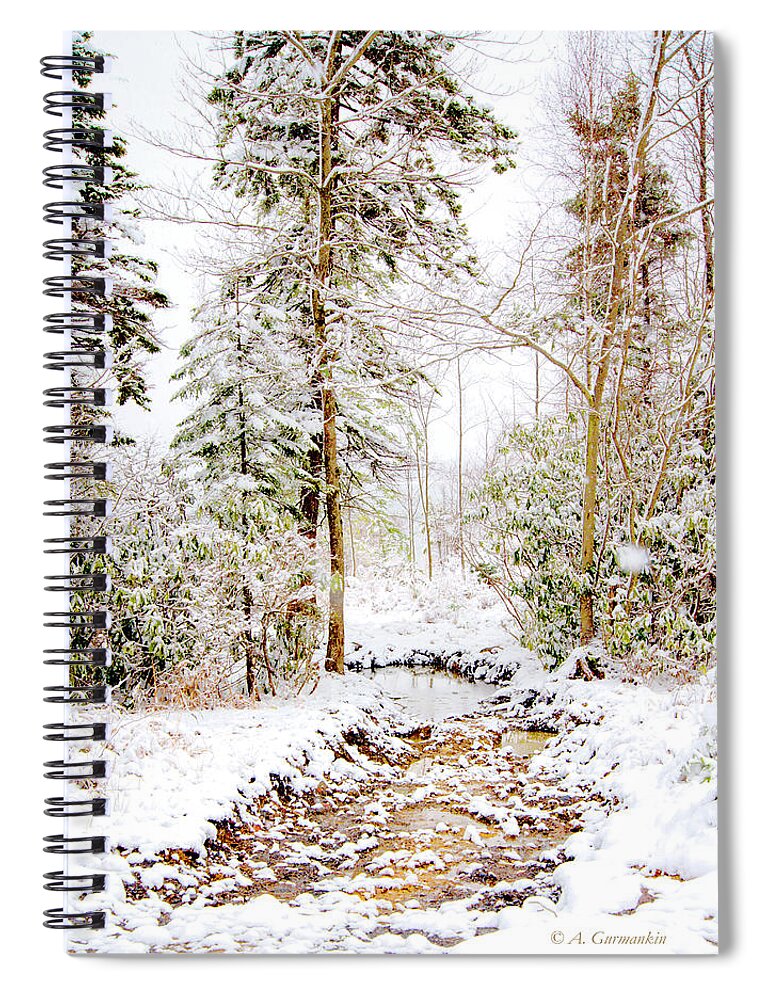 Stream Spiral Notebook featuring the photograph Small Mountain Stream in Winter #1 by A Macarthur Gurmankin