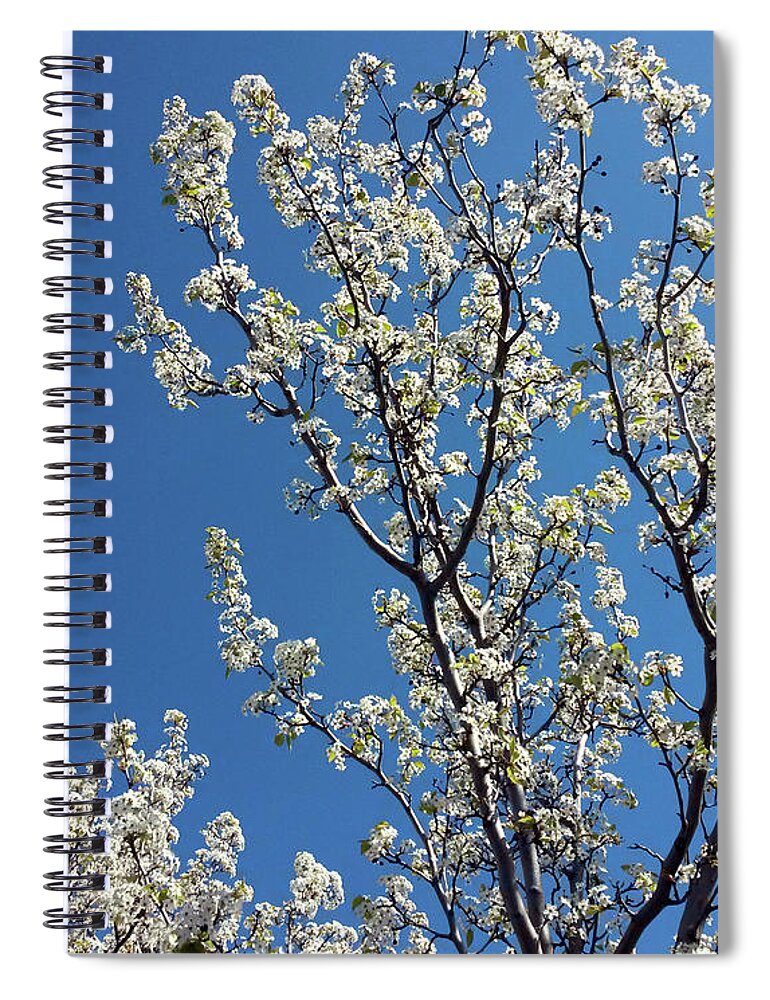 Blossom Spiral Notebook featuring the photograph Spring Blossoms #2 by Eric Forster