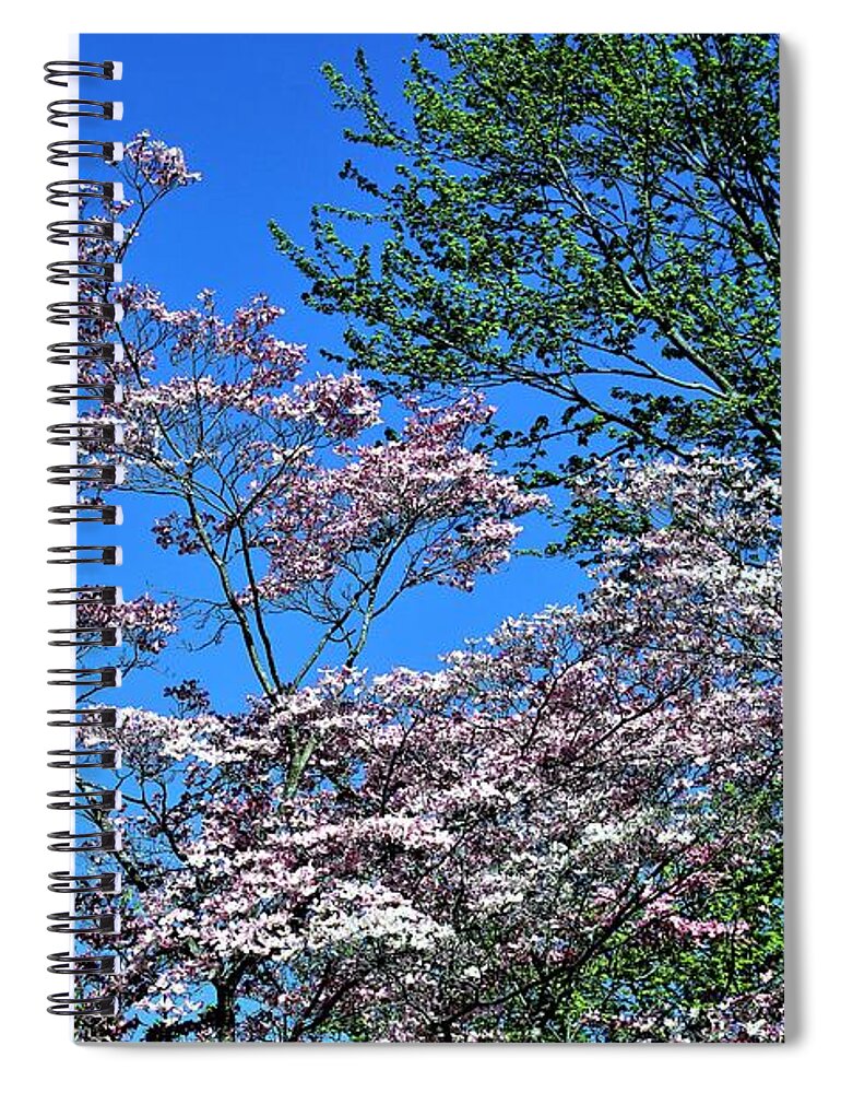 Flowers Spiral Notebook featuring the photograph Springtime in Louisville by Merle Grenz