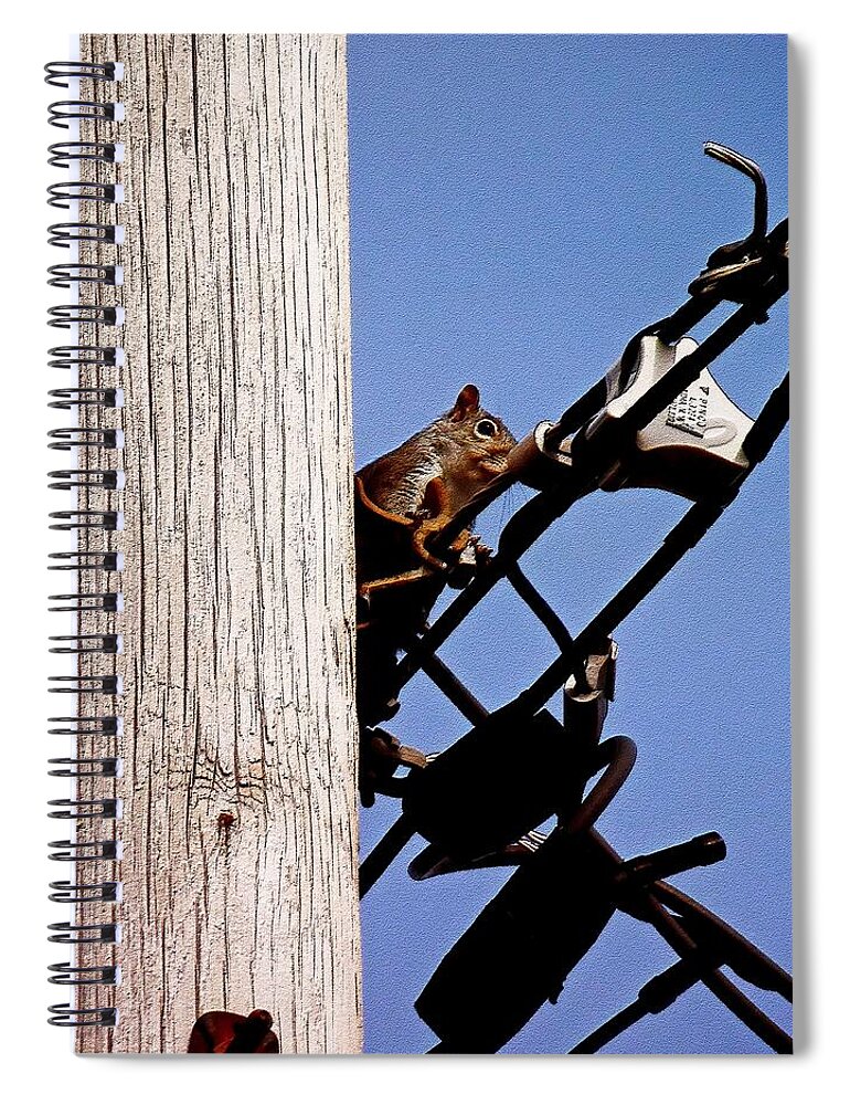 Squirrels Spiral Notebook featuring the photograph Squirrel bump map #1 by Karl Rose
