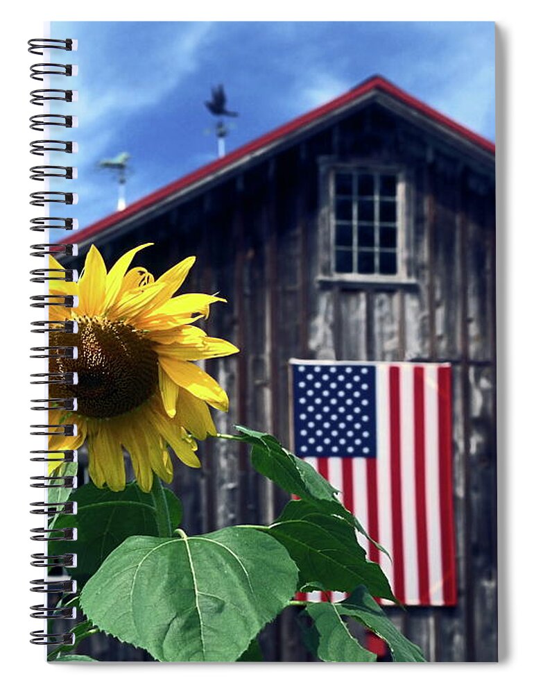 Sunflower Spiral Notebook featuring the photograph Sunflower by Barn by Sally Weigand