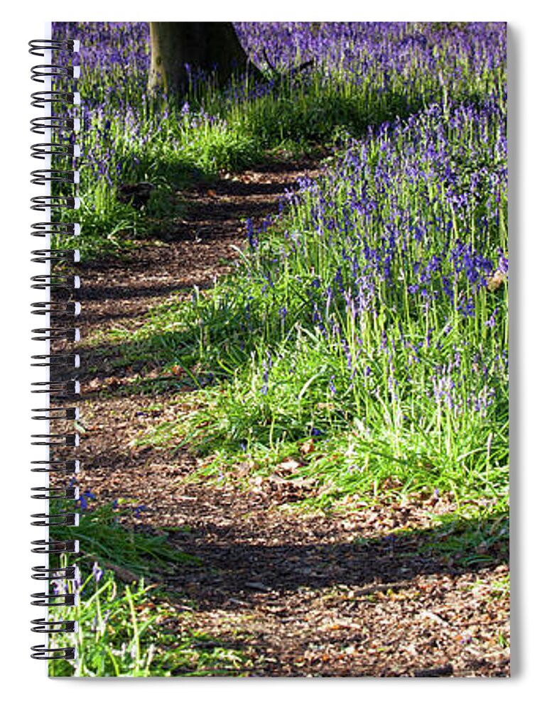 Norfolk Spiral Notebook featuring the photograph Norfolk, England sunrise path through bluebell woods by Simon Bratt