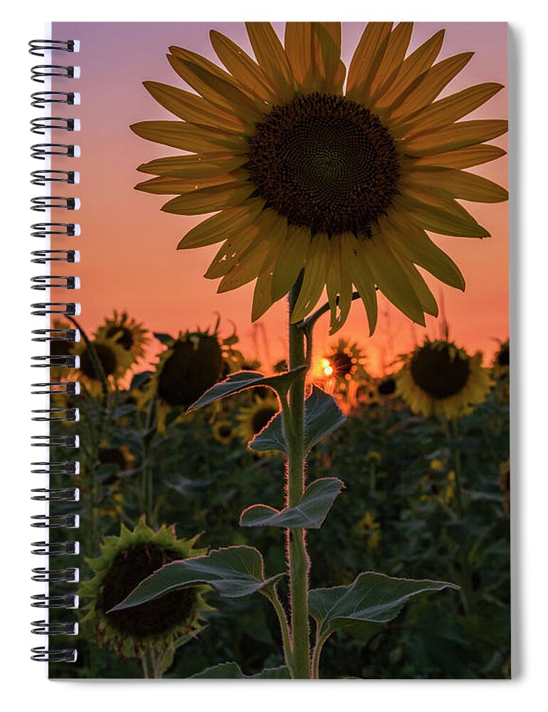 Sunset Spiral Notebook featuring the photograph Sunset by Holly Ross