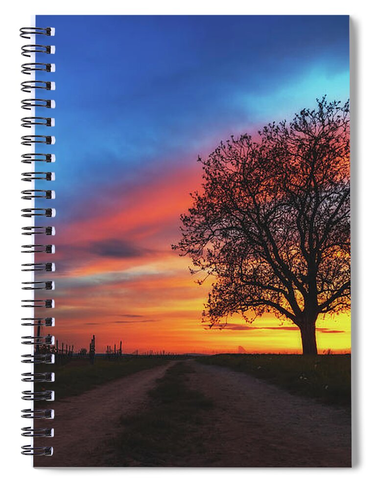 Tree Spiral Notebook featuring the photograph Sunset #1 by Marc Braner