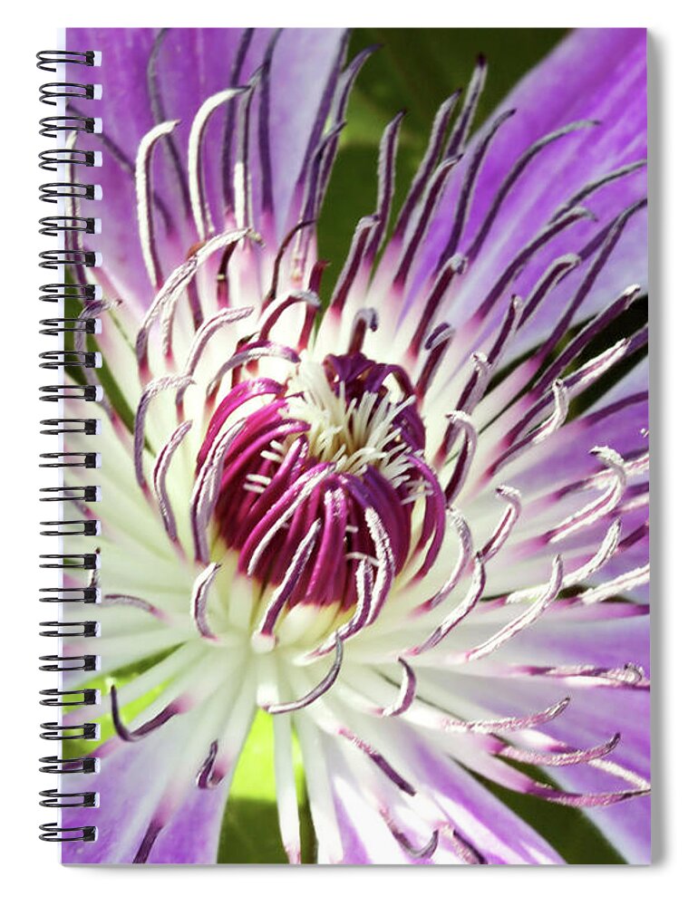 Flora Spiral Notebook featuring the photograph Sweet Nelly by Baggieoldboy