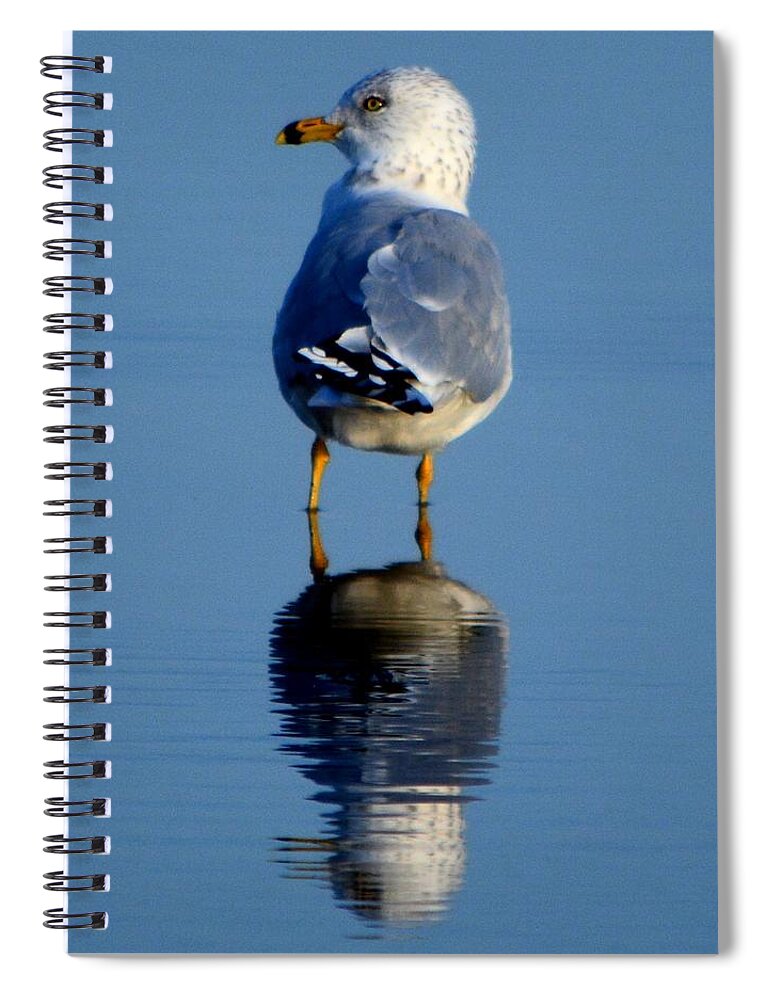 Bird Spiral Notebook featuring the photograph Tan Lines by Dani McEvoy