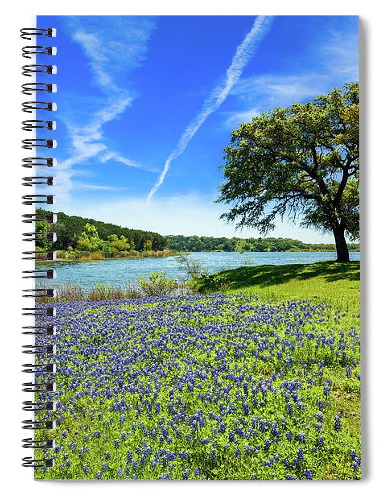 Austin Spiral Notebook featuring the photograph Texas Bluebonnets #3 by Raul Rodriguez