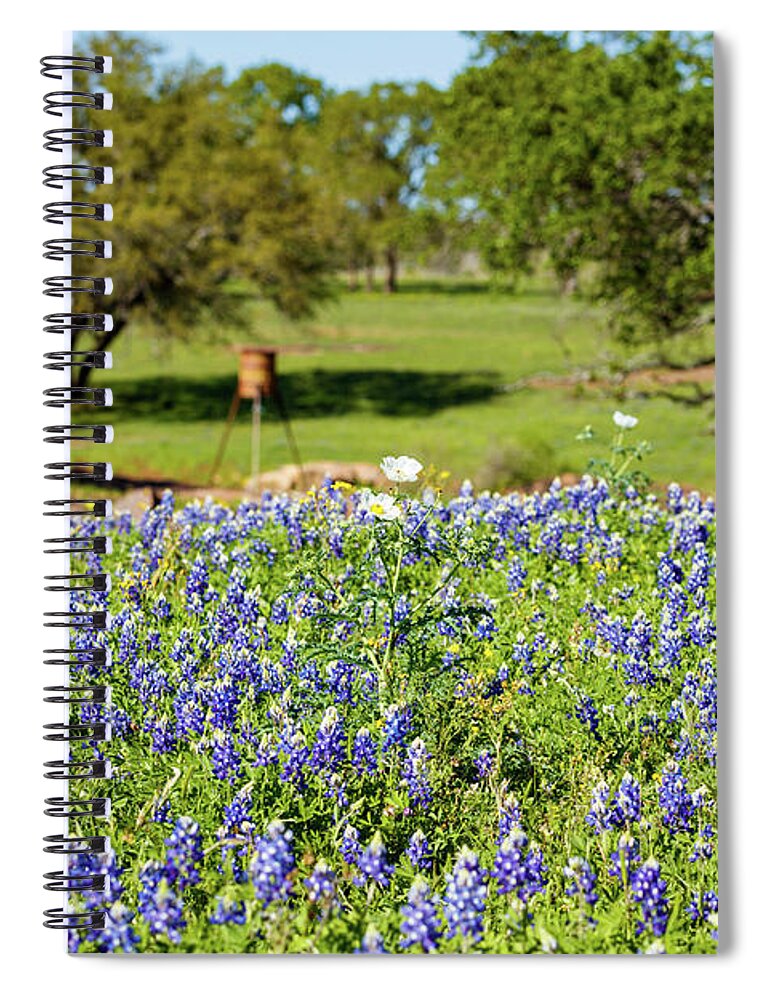 Austin Spiral Notebook featuring the photograph Texas Wildflowers by Raul Rodriguez