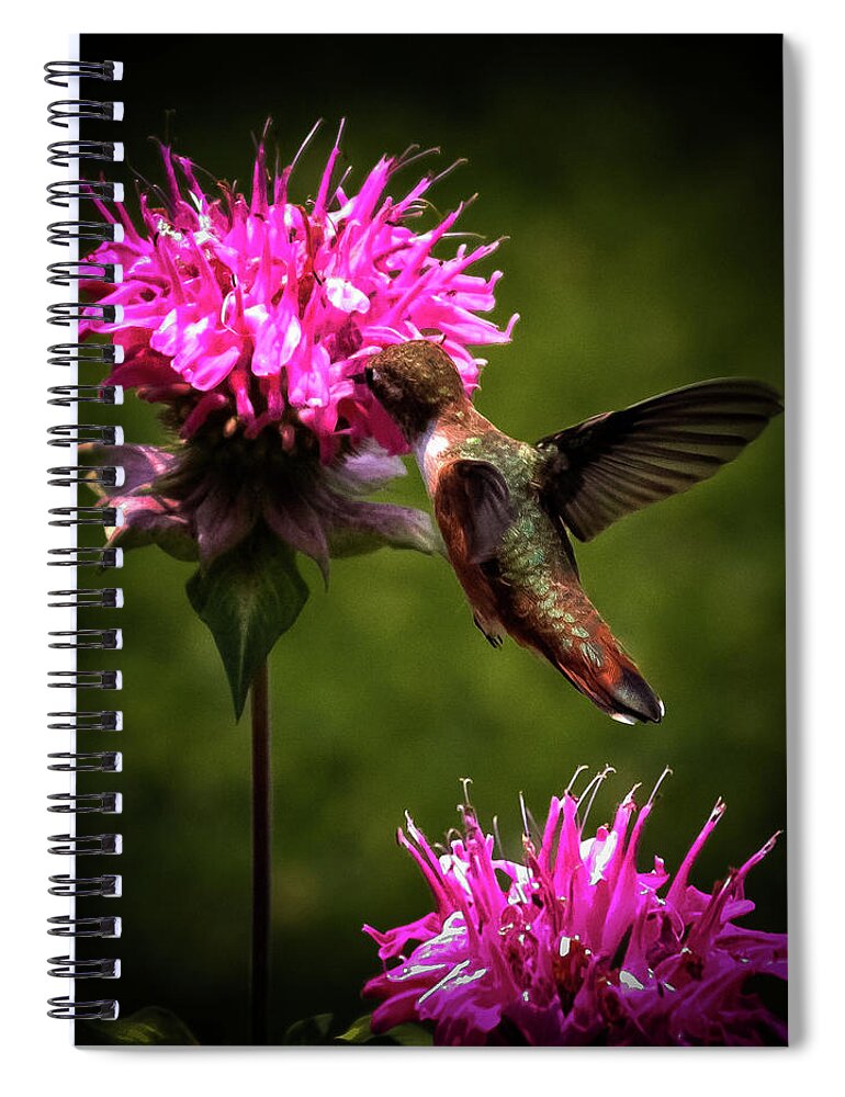 The Hummer Spiral Notebook featuring the photograph The Hummer #2 by David Patterson