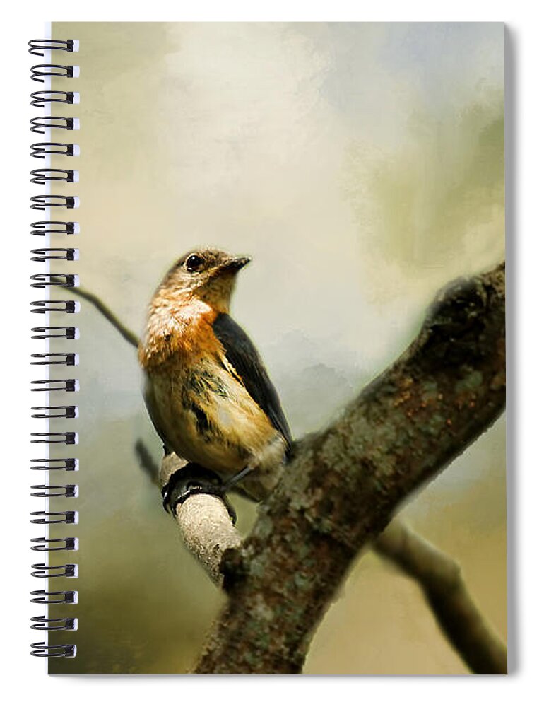 Social Birds Spiral Notebook featuring the photograph The Watcher #1 by Darren Fisher