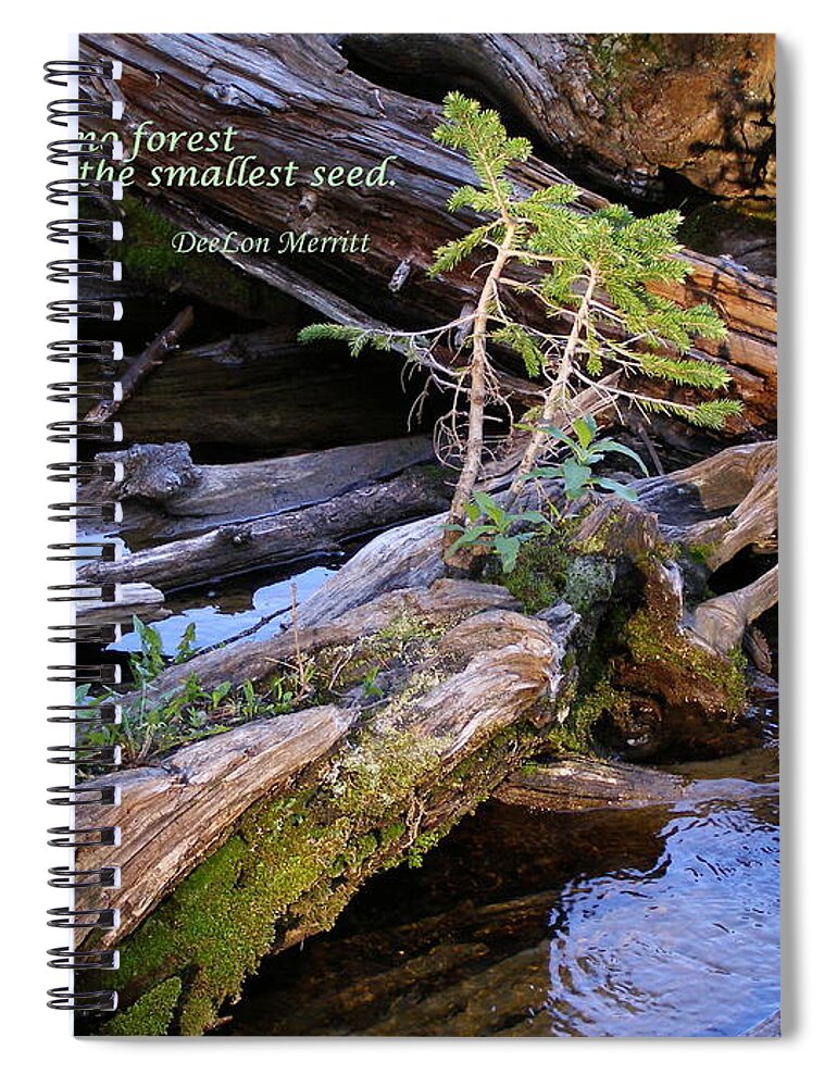 Water Spiral Notebook featuring the photograph There Would Be No Forest... #1 by DeeLon Merritt
