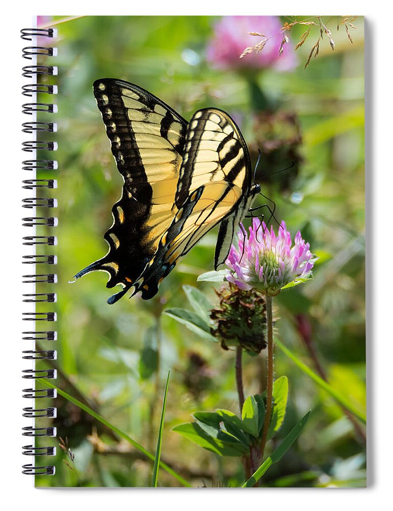 Butterfly Spiral Notebook featuring the photograph Tiger Swallowtail Butterfly #1 by Holden The Moment