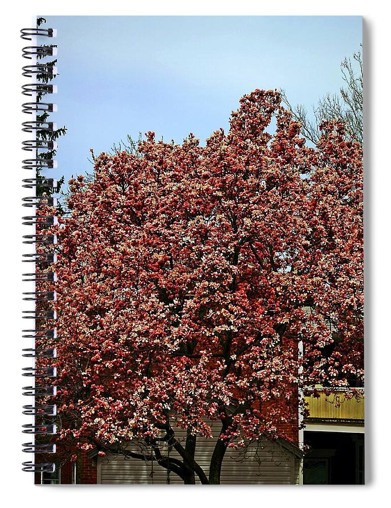 Trees Spiral Notebook featuring the photograph Tree #1 by Karl Rose