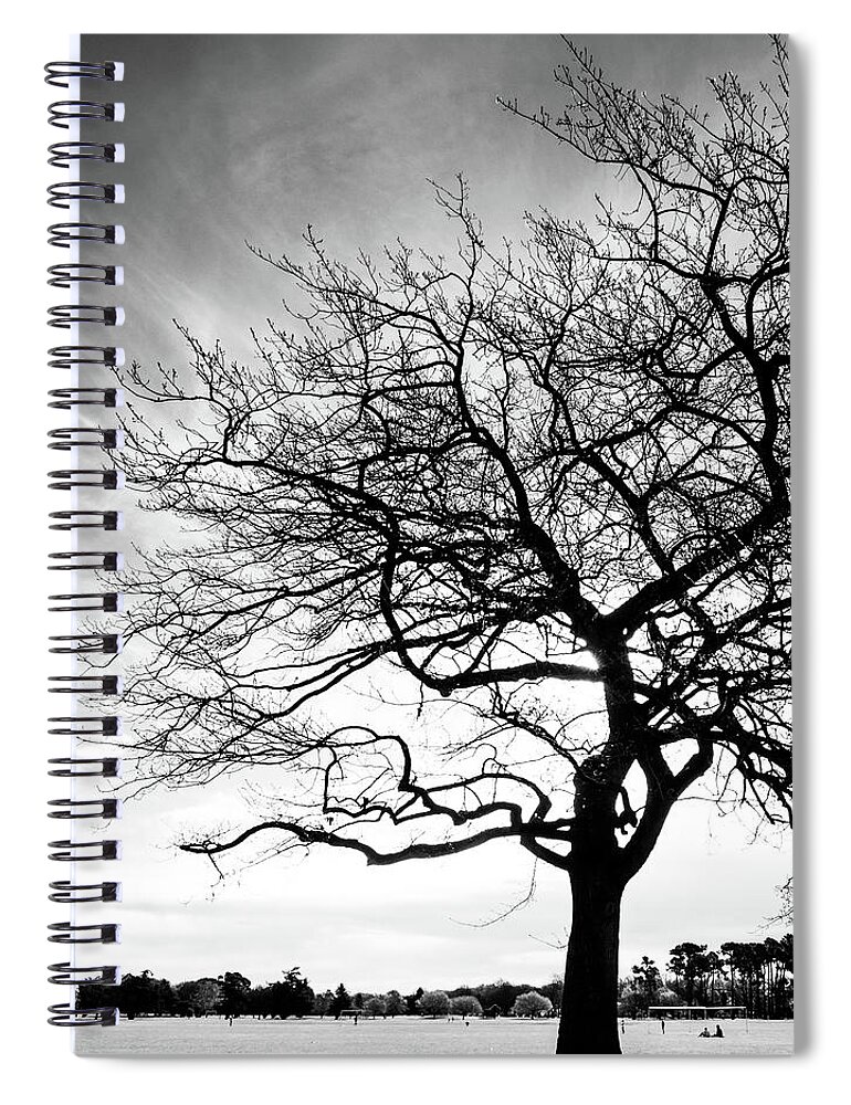 Tree Spiral Notebook featuring the photograph Tree Silhouette by Roseanne Jones