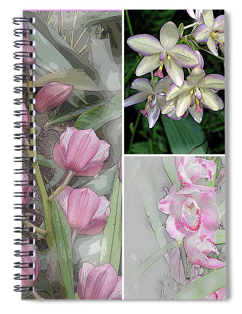 Trifecta Spiral Notebook featuring the painting Trifecta #1 by Don Wright