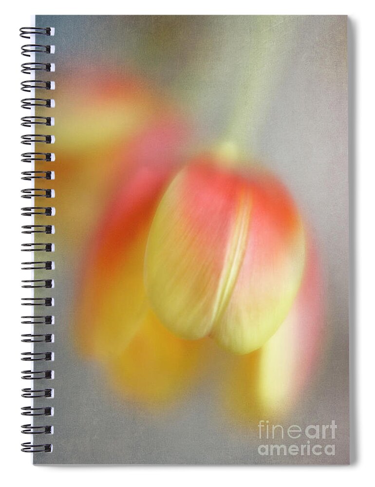 Tulip Spiral Notebook featuring the photograph Tulip 2 by Elena Nosyreva
