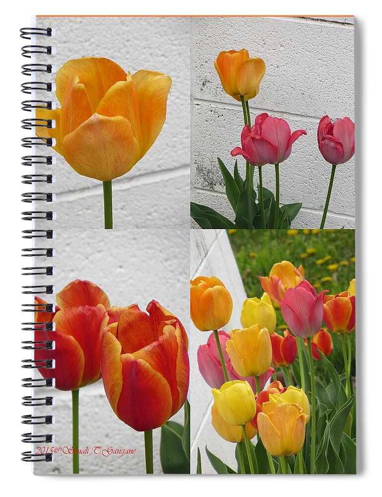 Tulip Time Spiral Notebook featuring the photograph Tulip Time #1 by Sonali Gangane