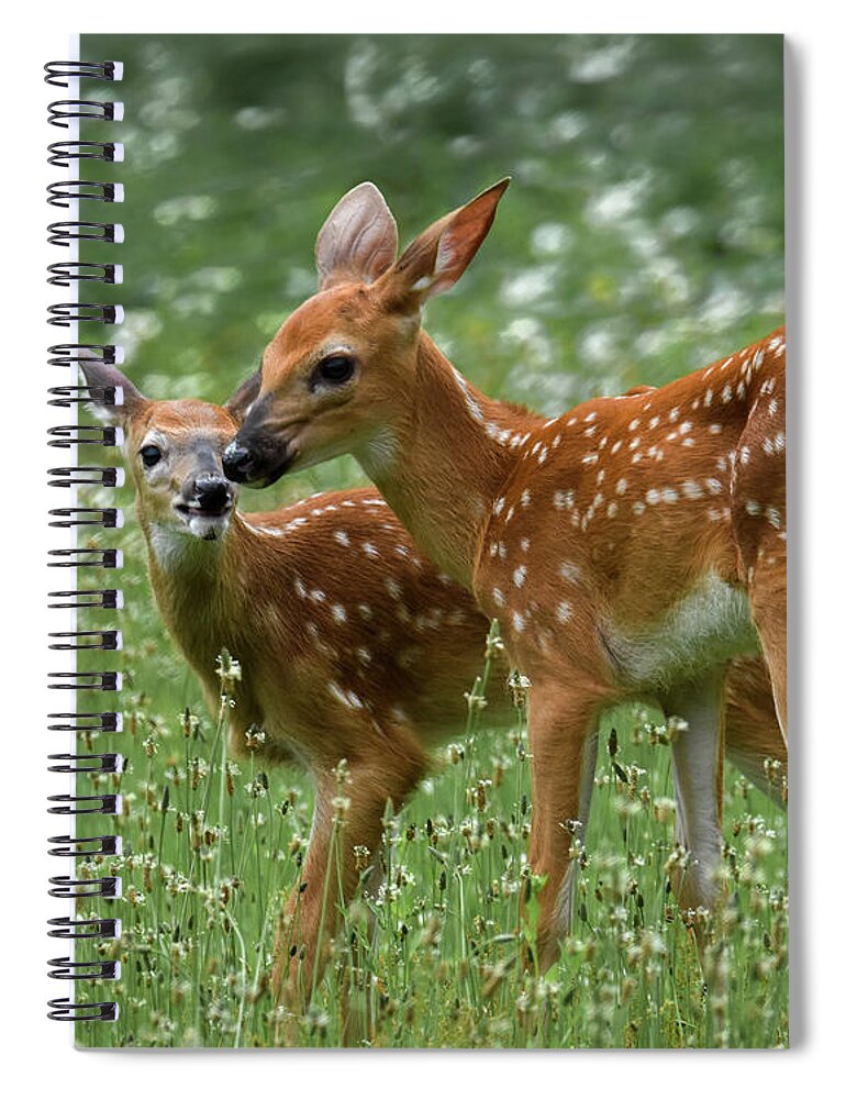 Twins Spiral Notebook featuring the photograph Twins by Amy Porter