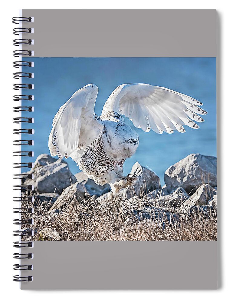 Owl Spiral Notebook featuring the photograph Two Point Landing #1 by Peg Runyan