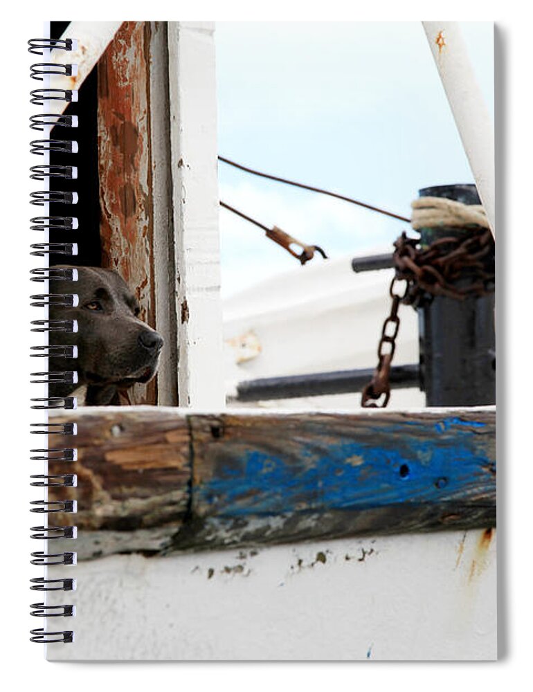 Dog Spiral Notebook featuring the photograph Waiting on his best friend by Toni Hopper